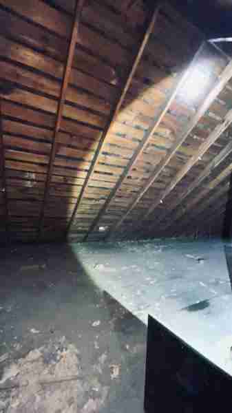 4519267_0033 (2).jpg